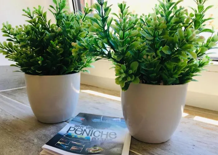 Дом отдыха Swordfish